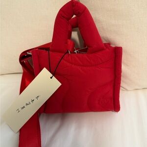 Thirty Years Mini Drift Tote